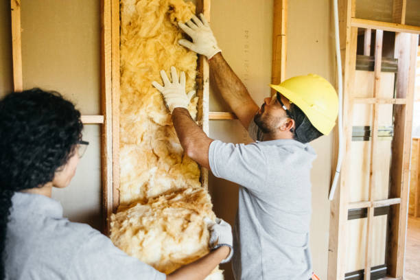 Best Spray Foam Insulation  in Brighton, MI