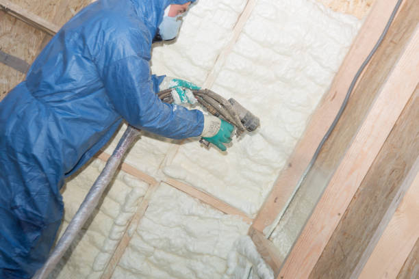 Best Weatherproofing Services  in Brighton, MI