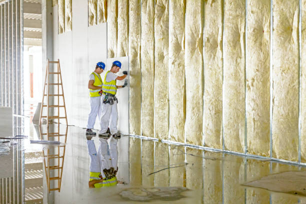 Best Attic Insulation Installation  in Brighton, MI